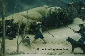 bear_hunt